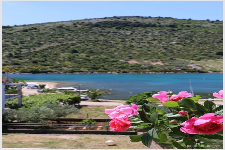 Apartments Juras - Studio Apartment with Sea View (Mia)-View