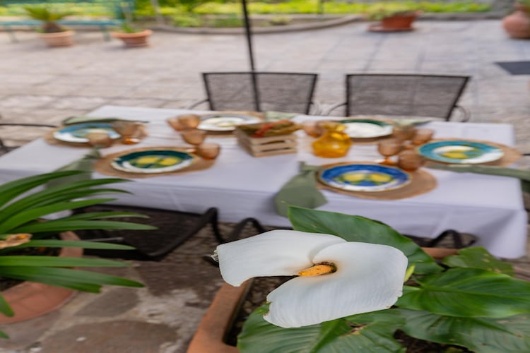 Glicine-Terrace balcony