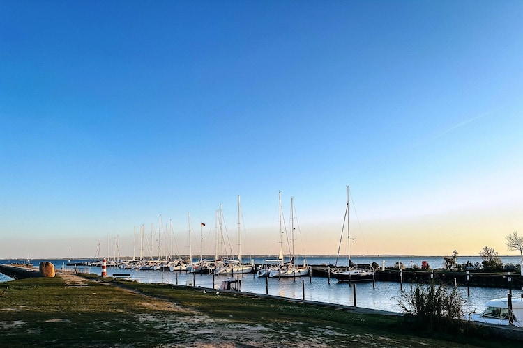 FeWo Küstenwind-Aussicht Sommer