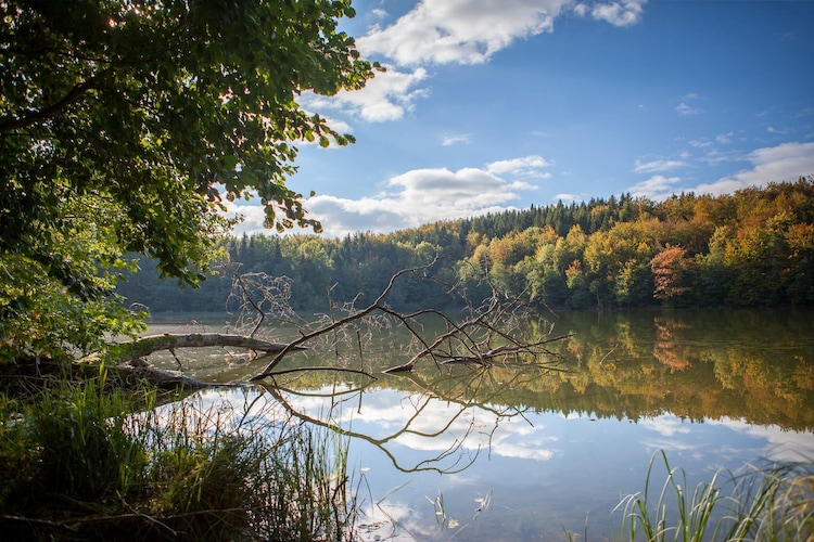 Dom wakacyjny z sauną nad jeziorem-Gebieden zomer 1km