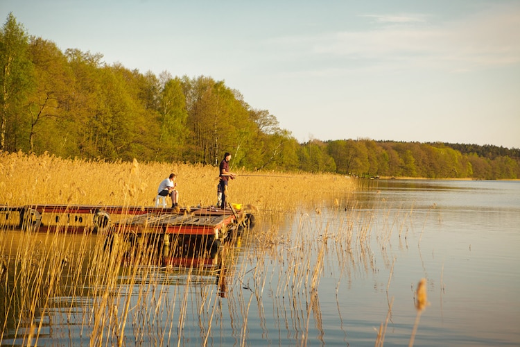 Dom wakacyjny z sauną nad jeziorem-Gebieden zomer 1km