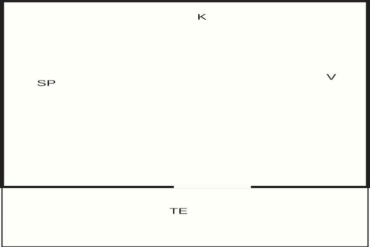 Hytte 1-Floor plan