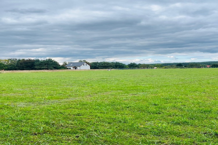 Green Hill Domysłów-Buitenkant zomer