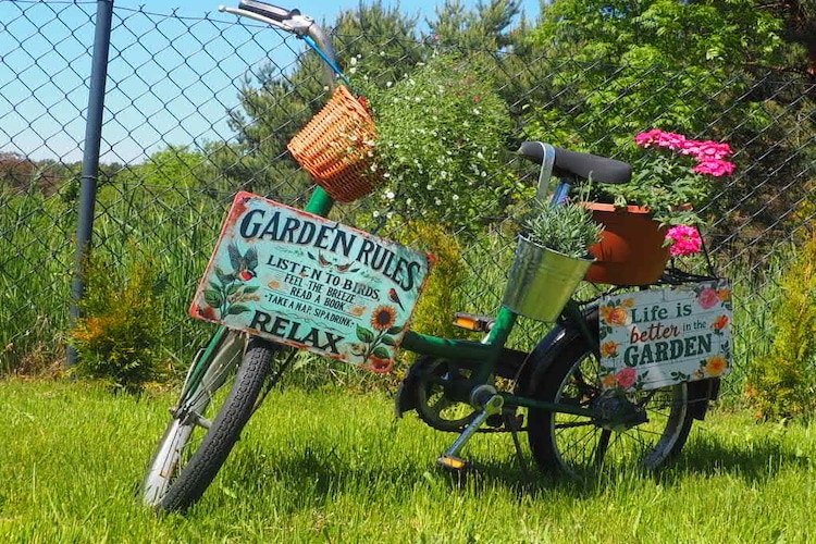 Garden Summer