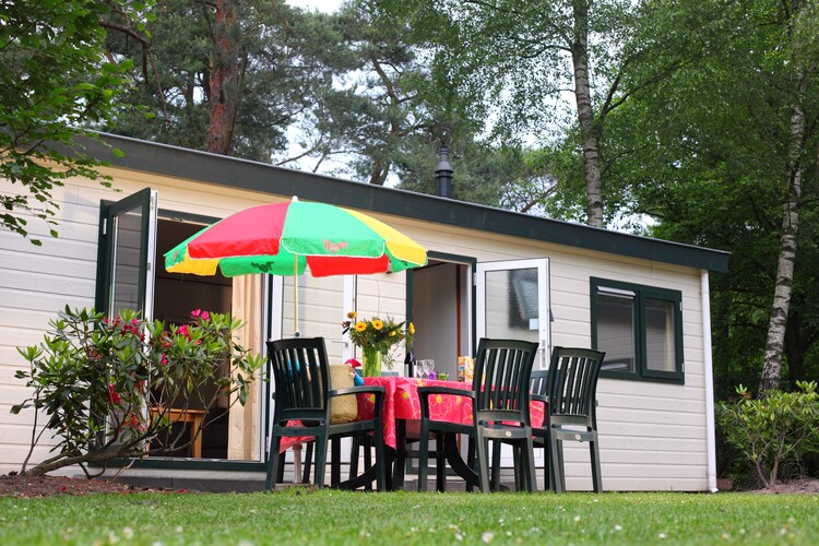 Bospark De Schaapskooi 5