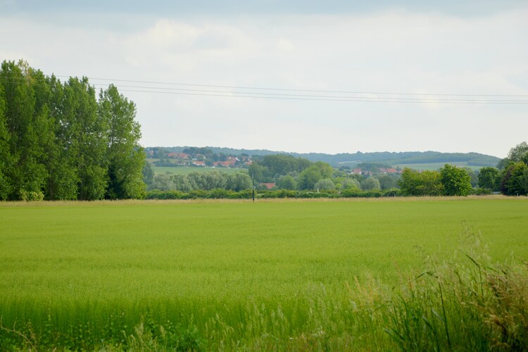 La Caméliade