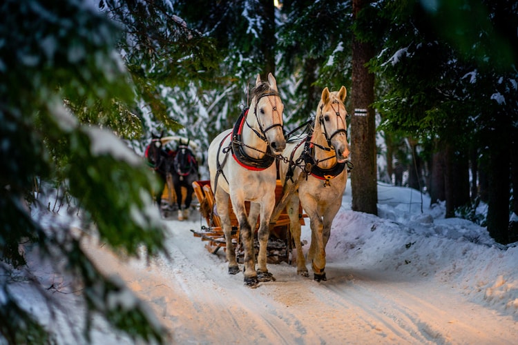 Dom MURAŃ dla max 8 osób Murzasichle - Gebied winter 5km