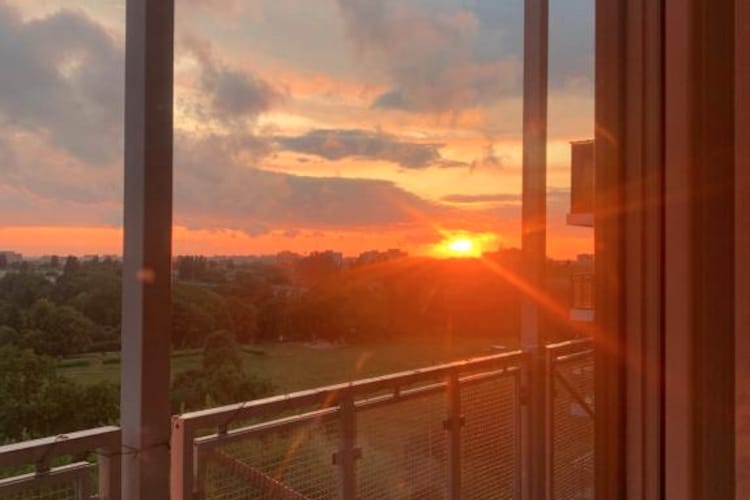 View