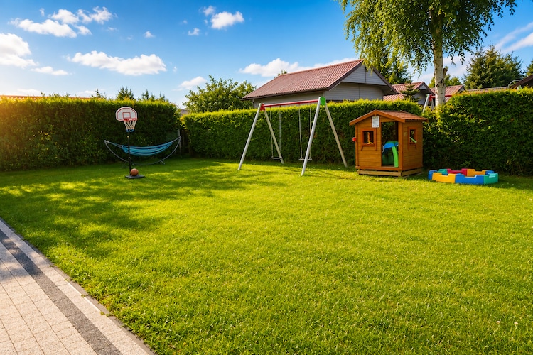 Garden Summer