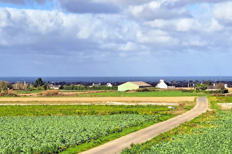 Ferienhaus in Cléder für 2 pers - Vue d'été