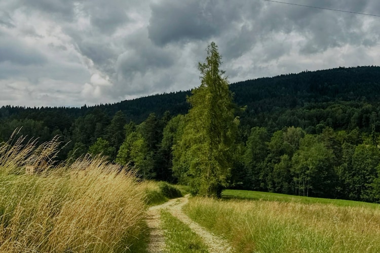Domy wakacyjne w Rabce Zdroju - Zones été à 1 km