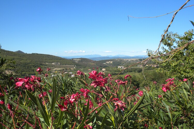 Cinto Euganeo