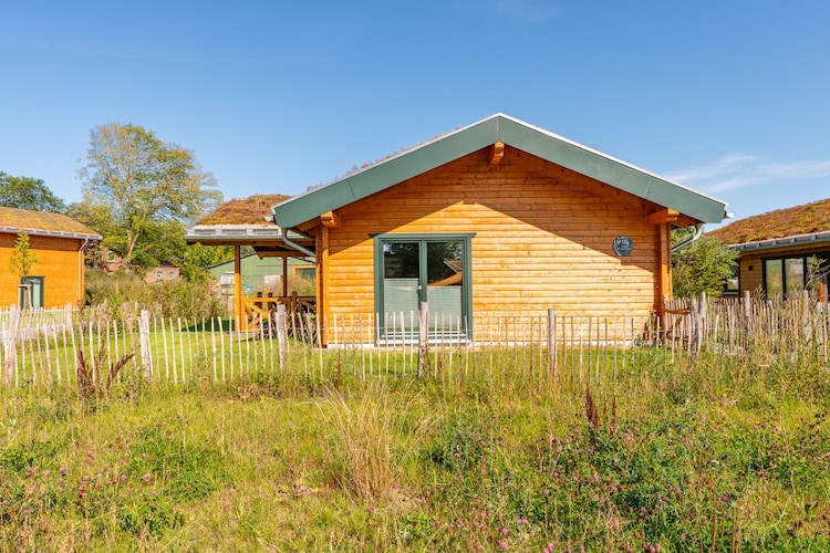 Ferienhaus in Kating - Huus Plüschmors - Außenbereich Sommer