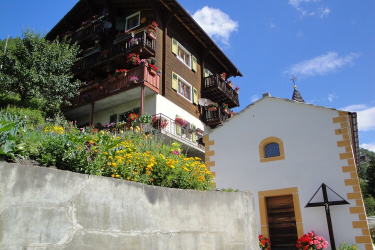 Bergtreue