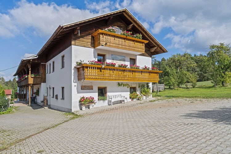 Urlaub Auf Dem Bauernhof