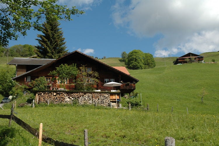 Boerderijen Zwitserland | Bern | Boerderij te huur in Habkern   met wifi 4 personen