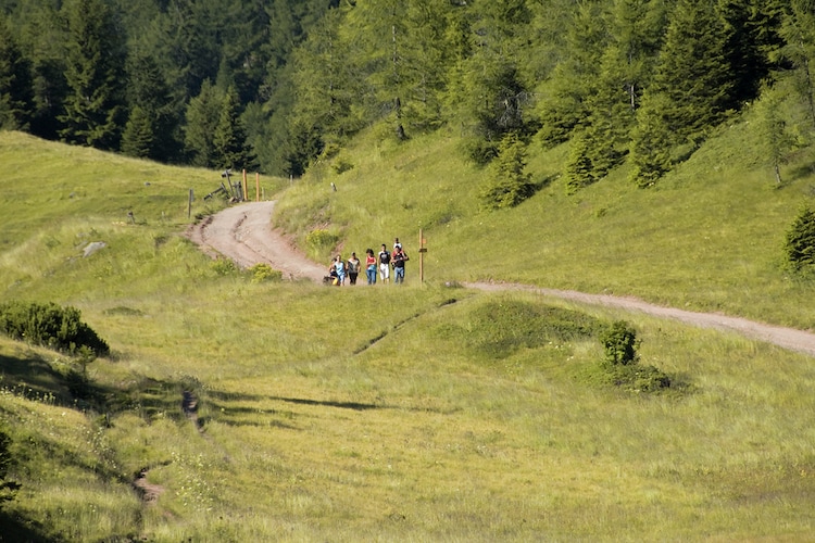 Renetta Mansarda-Gebiete Sommer 5 km