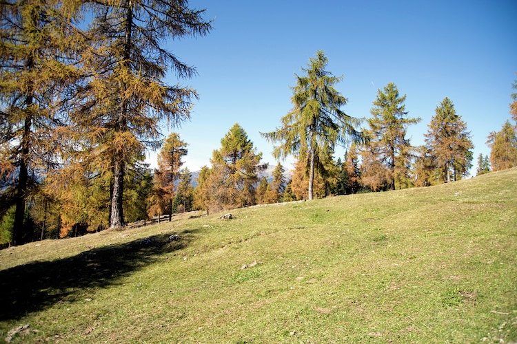 Renetta Mansarda-Gebiete Sommer 5 km
