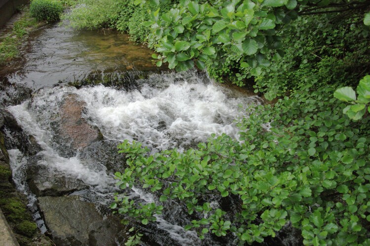 Panoramablick, foto 13