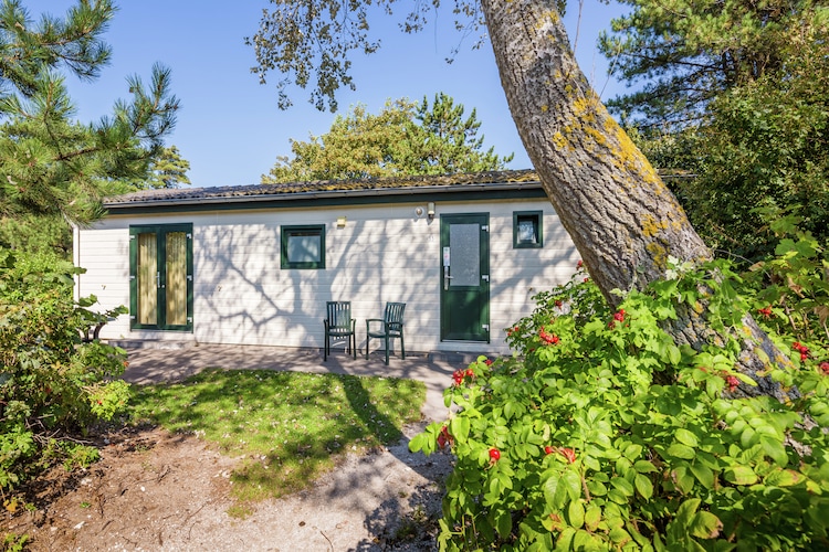 Kustpark Egmond Aan Zee 4