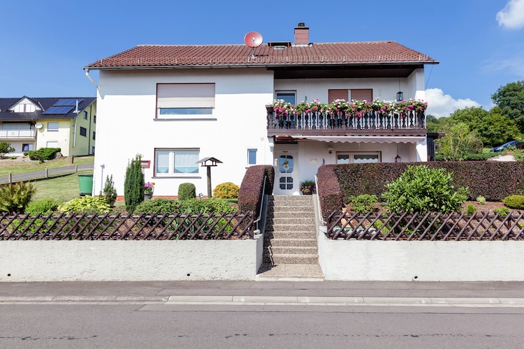 Im Naturpark Vogelsberg