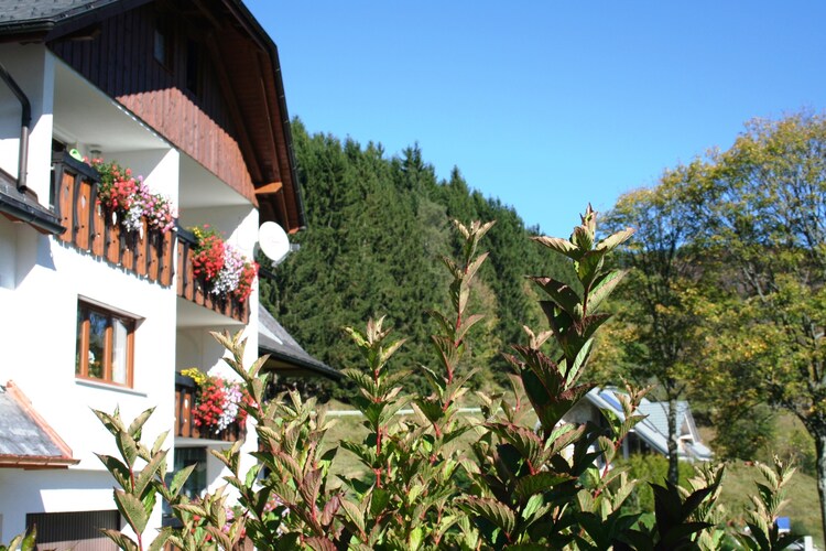 Wieden