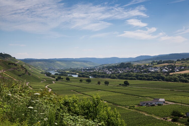Kastanienhof Weingut Esseln