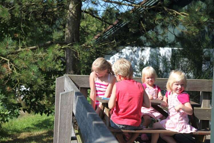 Bild 17 Bild 17