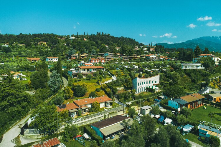 Salici