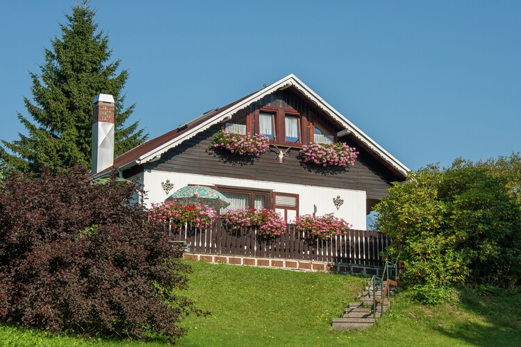 Luxueuze villa in Thuringen met een barbecue