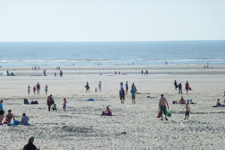 Berck sur Mer 1, foto 6