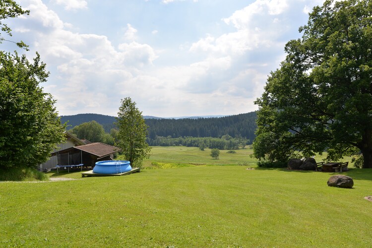 Vergissmeinnicht, foto 6