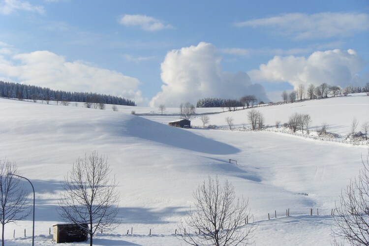 Willingen