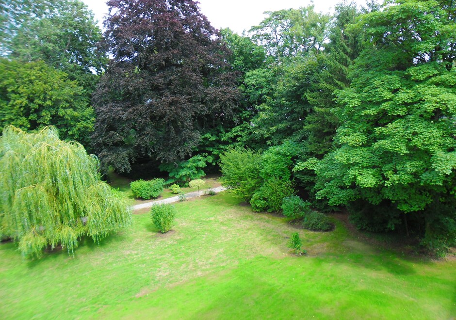 img description